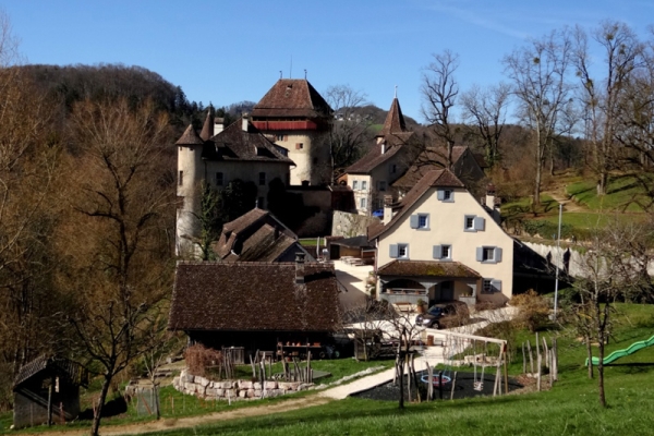 Randonnée de l'après-midi: Bâle