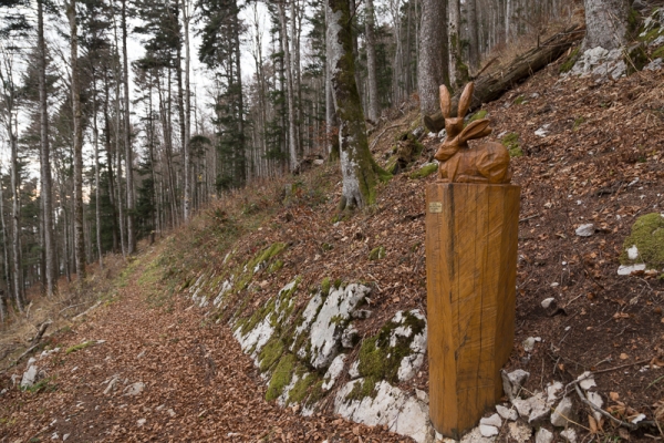 Par le Mont Sujet et les gorges de Douanne