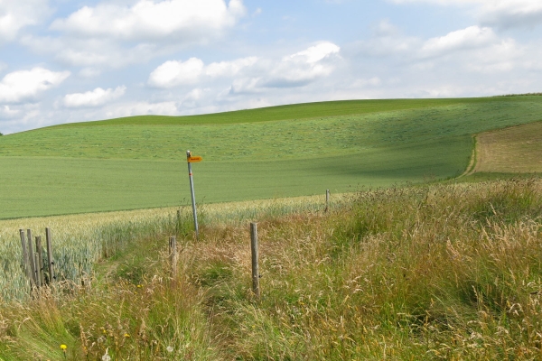 De Schwarzenburg à Mittelhäusern