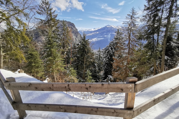 Randonnée hivernale au pied des Muverans