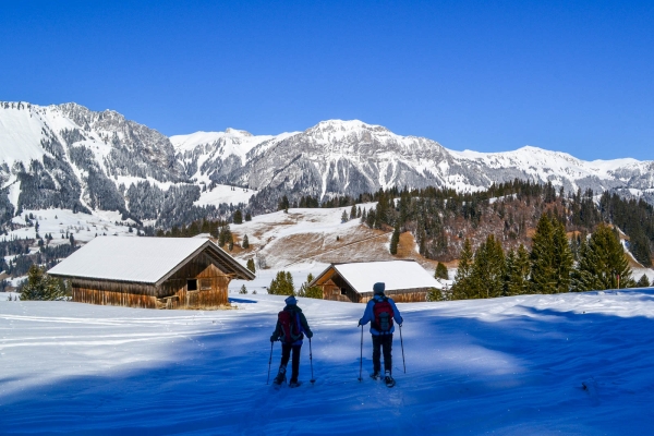 Das Stockhorn im Blick BE