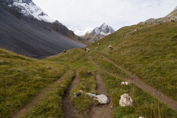 Ai margini del comprensorio sciistico Arosa