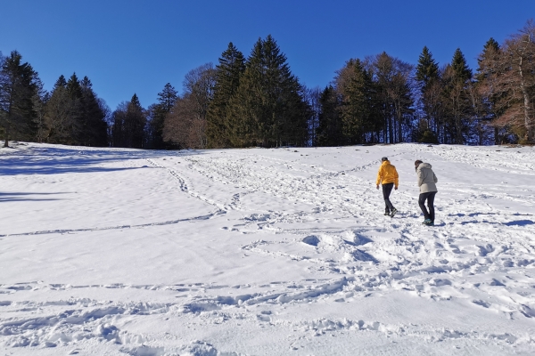 Weisses Weideland im Berner Jura