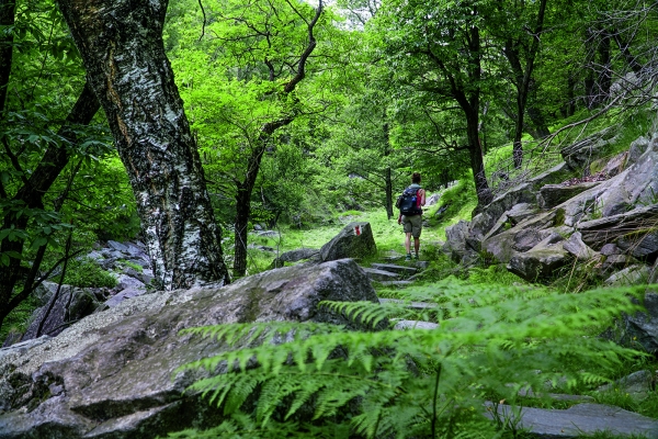 Sur les hauteurs de la Valle Maggia