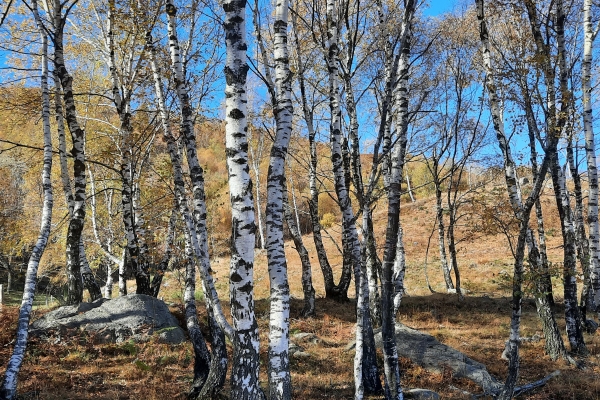 Il magnifico panorama dalla Moschera