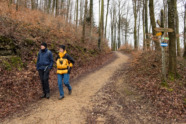 Rejoindre la vallée du Fricktal par Heuberg