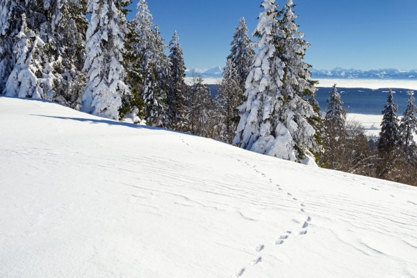 Aussichtsreiche Schneeschuhtour im Jura