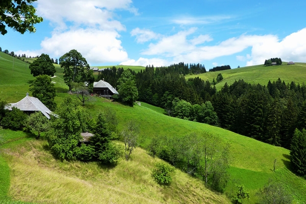 L’Emmental, une région pour tous les sens