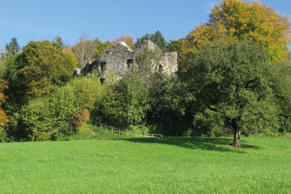 Le château de Heidegg 