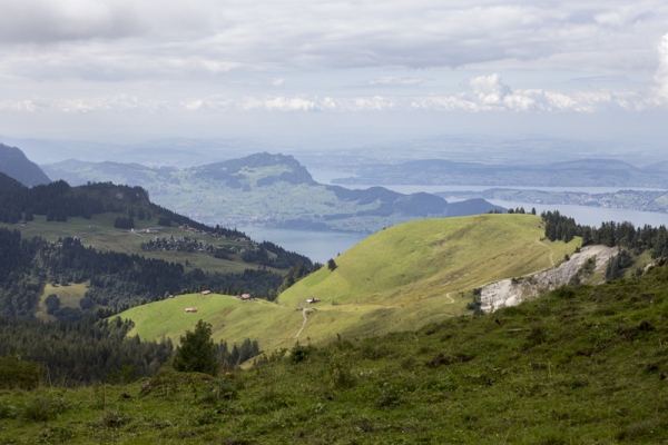 Le sentier d’observation de la faune