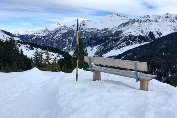 Unter dem majestätischen Zervreilahorn