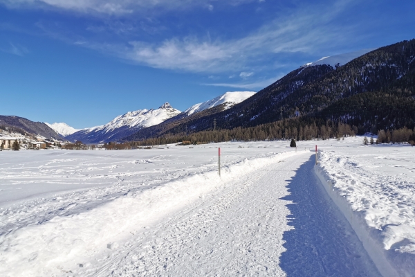 Un coin de tranquillité en Haute-Engadine