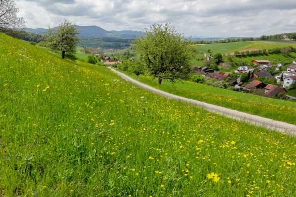 Eintauchen ins Fricktal 