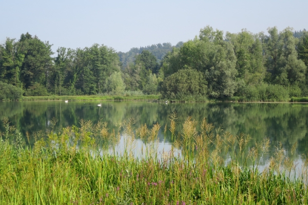 Chemin faisant en Argovie