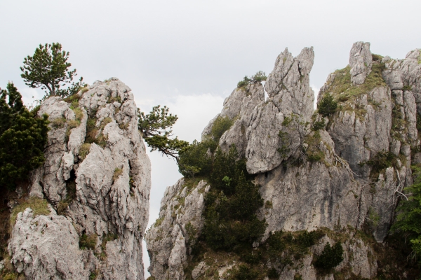 Felszinnen und Zauberwälder im Val Colla TI