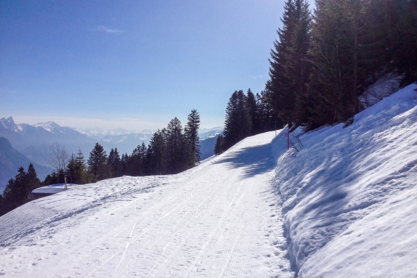 Prendere il sole di fronte al Churfirsten