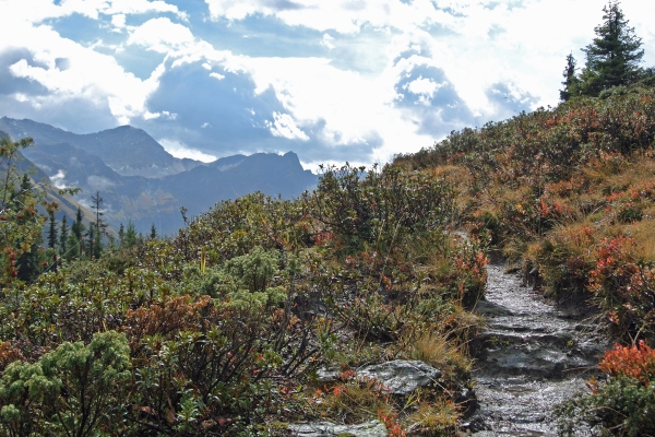 Le chemin des Walser de la vallée de Safien