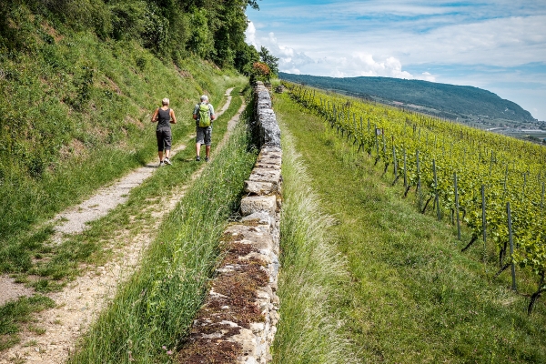 Dal lago di Neuchâtel al lago di Bienne