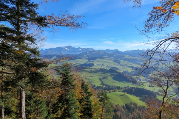 Säntisblick über dem Neckertal