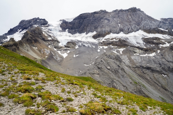 Entre pâturages verdoyants et roches grises