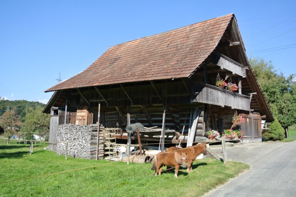 Dal villaggio rurale alla città sull’Emme