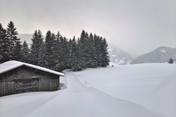 Chemins d’altitude dans la Surselva