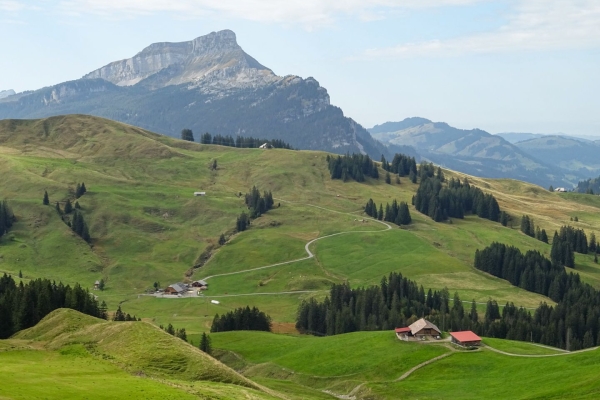 Wanderung durch die Moore der UNESCO Biosphäre Entlebuch