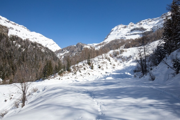 Aux origines de la protection contre les avalanches