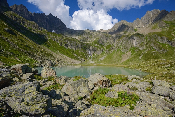 La nature à l’état pur