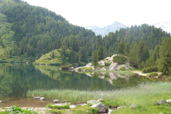 VIP-Angebot für Wanderpassinhaber:innen: Herbstliche Rundwanderung ins Val Forno