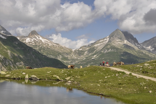 Les virages du Piz Tagliola