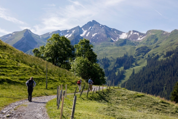 Fraîcheur estivale et lieux de pouvoir