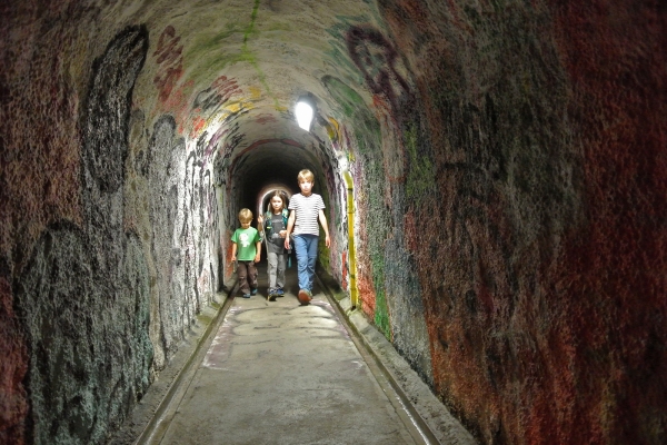 Nahe Bern den Aareschlaufen entlangwandern