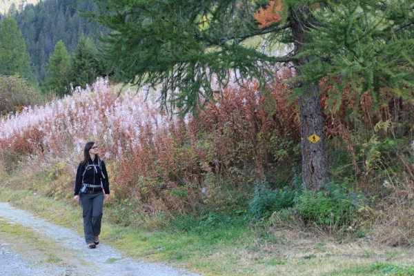 Sulle orme dei pellegrini nella Val d’Entremont