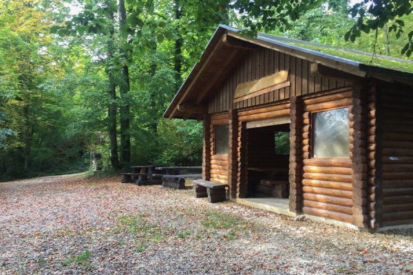 Un après-midi dans les forêts jurassiennes