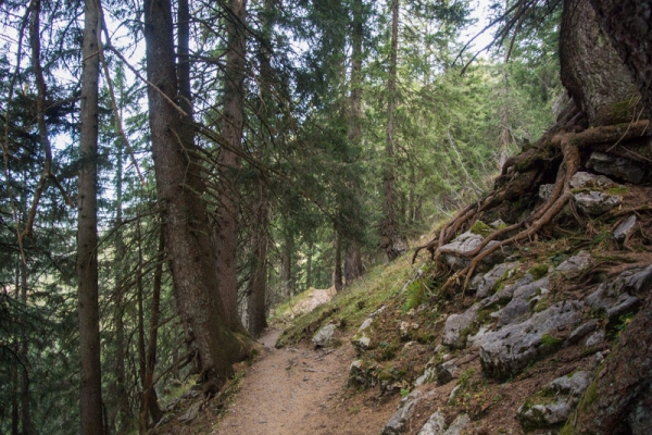 Moorelfen und Mürtschenstock