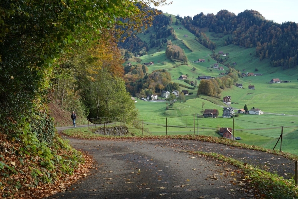 Panoramawanderung vom Wildspitz zum Zugerberg