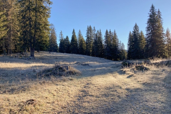 Sur le Mont Tendre dans le Parc Jura vaudois