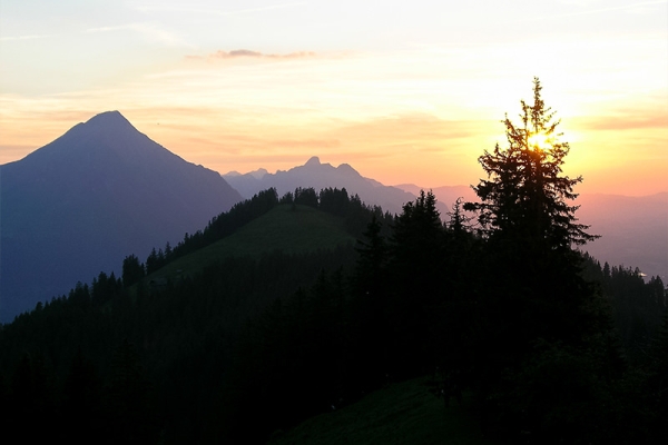 Durchs Naturparadies auf die aussichtsreiche Alp