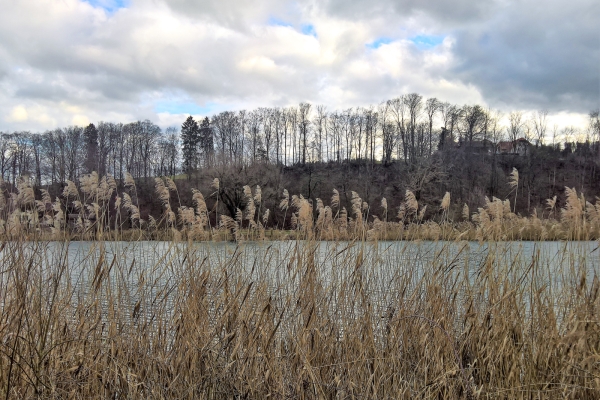 Von Attiswil nach Wangen an der Aare