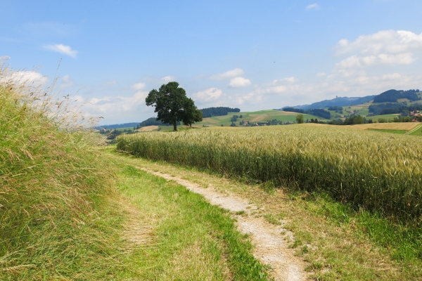 De Schwarzenburg à Mittelhäusern