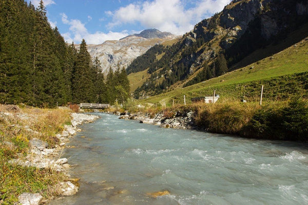 La forêt vierge de Scatlè