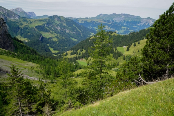 Entre pâturages verdoyants et roches grises