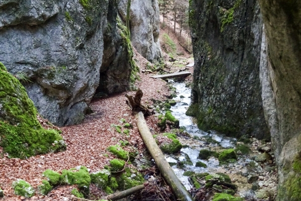 Auf dem Wolfsschluchtpfad im Naturpark Thal