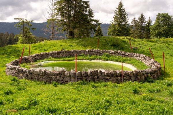 Les murs en pierres sèches du Mont Tendre