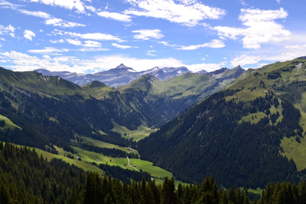 Höhenwanderung im Pays d’Enhaut