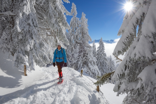 Auf der Rigi Scheidegg