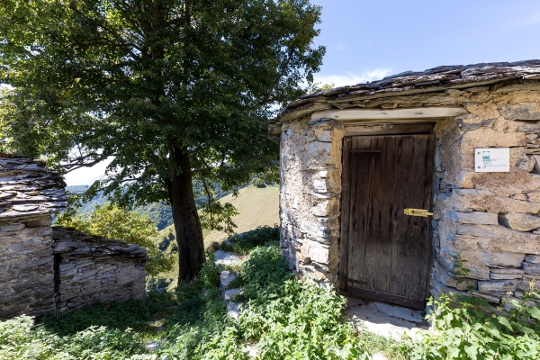 Nevère am Monte Generoso