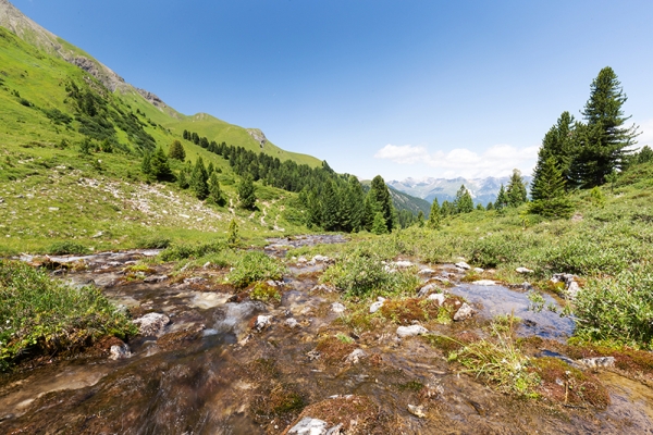 Wilde Wasser am Piz Ela