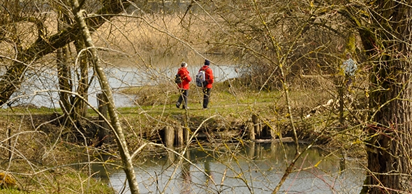 Safari hivernal aux oiseaux